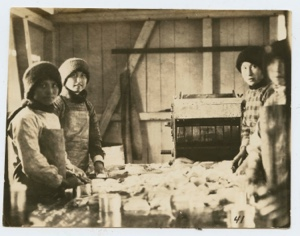 Image of Eskimo [Kalaallit] girls working in canning factory  - halibut
